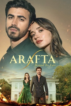 Постер Арафта